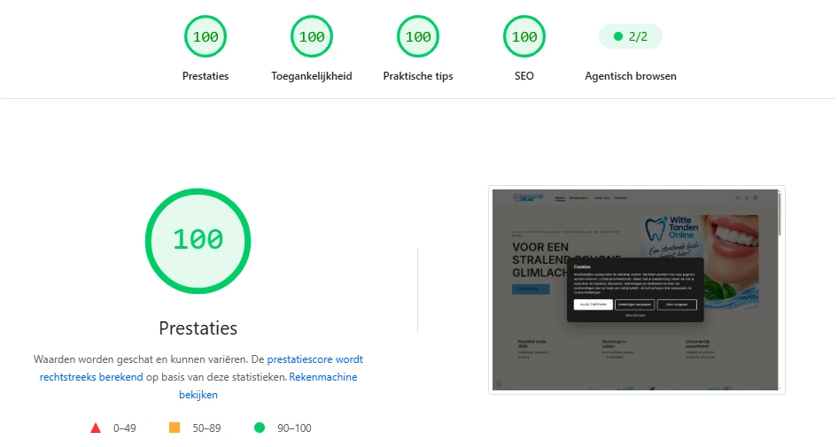 Pagina-rapport met een score van 100 voor prestaties, toegankelijkheid, praktische tips en SEO